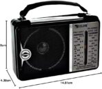 ⁦راديو غون كلاسيك (اربع موجات) كولون : (أسود فضي - 606-rx)⁩ - الصورة ⁦5⁩