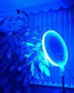 ⁦إضاءة احترافية للتصوير الفوتوغرافي RGB-LED GS-450 | إضاءة حلقية RGB قابلة للتعتيم بقطر 26 سم مع جهاز تحكم عن بعد، سطوع قابل للتعديل وأنماط ألوان متعددة، مثالية للمكياج والبث المباشر وتسجيل الفيديو .⁩ - الصورة ⁦2⁩