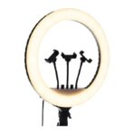 ⁦رينج لايت RL-18 إضاءة حلقة LED الناعمة مع حقيبة للحماية⁩ - الصورة ⁦2⁩