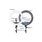 ⁦رينج لايت RL-18 إضاءة حلقة LED الناعمة مع حقيبة للحماية⁩ - الصورة ⁦4⁩
