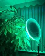 ⁦إضاءة احترافية للتصوير الفوتوغرافي RGB-LED GS-450 | إضاءة حلقية RGB قابلة للتعتيم بقطر 26 سم مع جهاز تحكم عن بعد، سطوع قابل للتعديل وأنماط ألوان متعددة، مثالية للمكياج والبث المباشر وتسجيل الفيديو .⁩ - الصورة ⁦8⁩