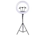 مصباح حلقي LED MF-18 - اضاءة ناعمة متعددة الاوضاع امنة للعين - دوران 360 درجة - مثالي للبث المباشر والتصوير الفوتوغرافي للمدونين .