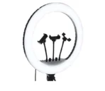 ⁦مصباح حلقي LED MF-18 - اضاءة ناعمة متعددة الاوضاع امنة للعين - دوران 360 درجة - مثالي للبث المباشر والتصوير الفوتوغرافي للمدونين .⁩ - الصورة ⁦4⁩
