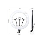 ⁦رينج لايت MJ56 RGB مقاس 22 بوصة مع حامل ثلاثي القوائم و3 حوامل للهواتف المحمولة وجهاز تحكم عن بعد.⁩ - الصورة ⁦4⁩