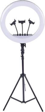 ⁦رينج لايت ليد موديل MF-22- إضاءة ناعمة ومتعددة الوضعيات وآمنة للعين - دوران 360 درجة - مثالي للبث المباشر وتصوير المدونين .⁩ - الصورة ⁦4⁩