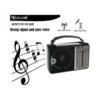 ⁦راديو جولون شكل كلاسيكي، 4 نطاقات اذاعية، RX-606  يعمل بالكهرباء 4 نطاقات AM FM SW1 SW2 AC - اسود⁩ - الصورة ⁦2⁩